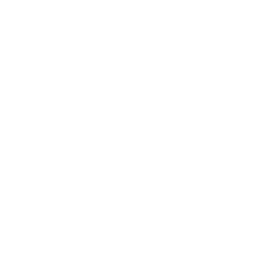 SpeedyBoiz